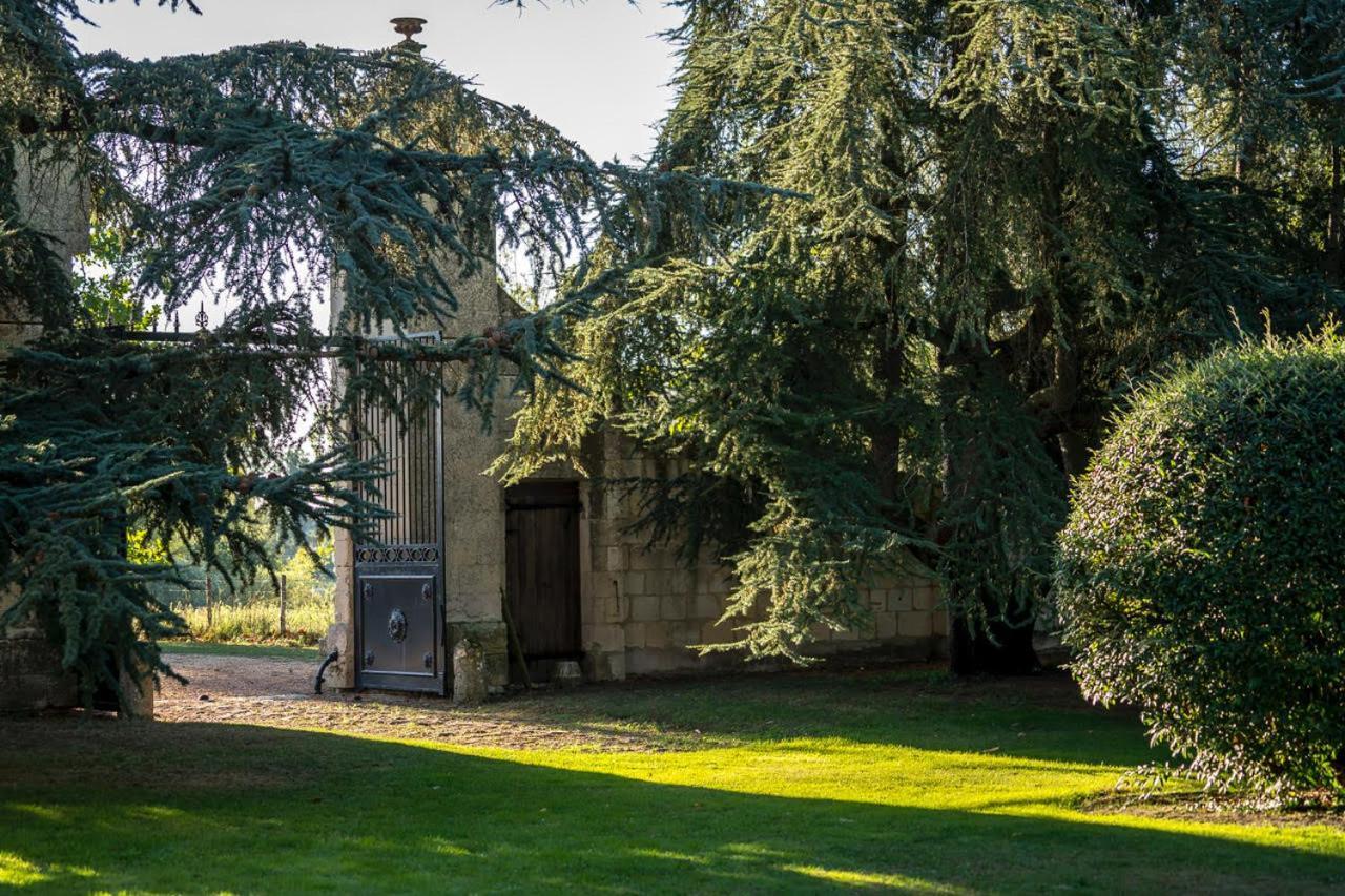 Chateau De La Ronde Vivy Exteriér fotografie